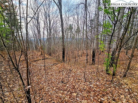 2nd image of Lot 61 Tomahawk Ridge Drive
