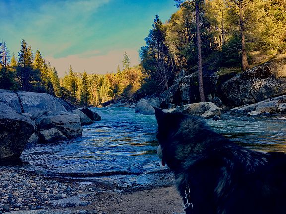 5 Miles to Famous Stanislaus