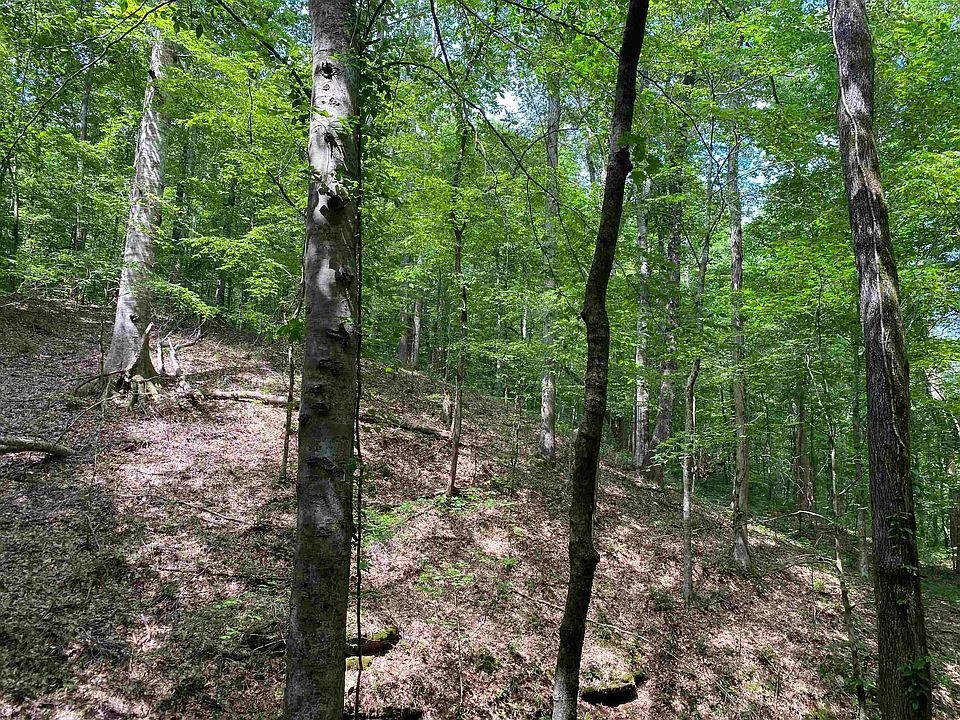 34th image of this home