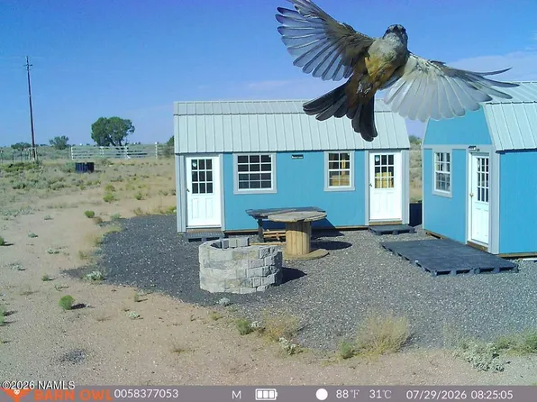 1925 S Wildflower Way #356, Williams, AZ 86046