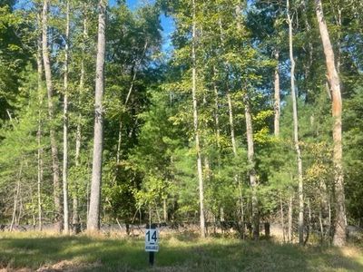 14 Clear Creek Trl, Ellijay, GA, 30536