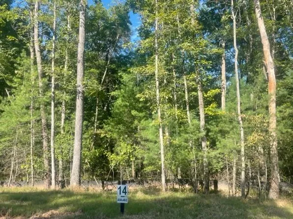 14 Clear Creek Trl, Ellijay, GA 30536