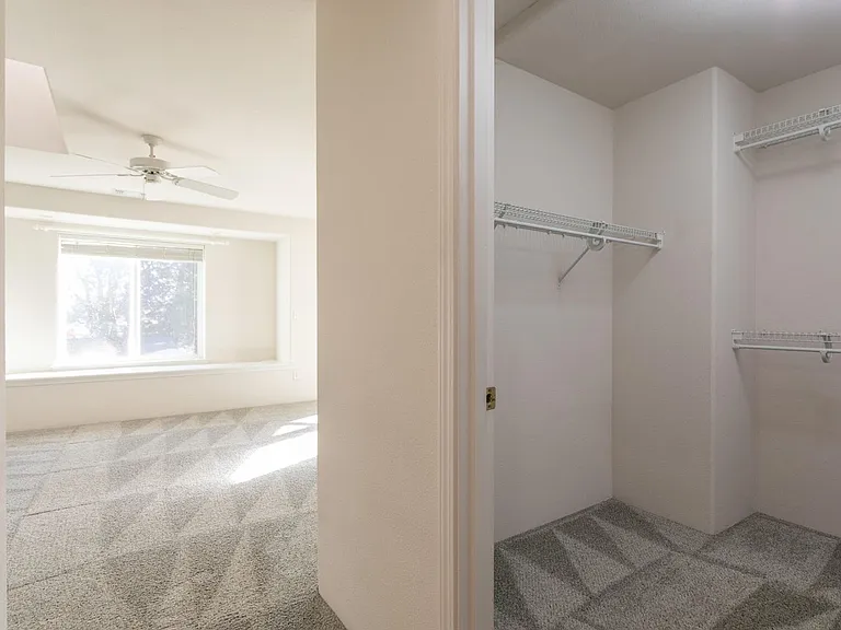 Master walk-in closet