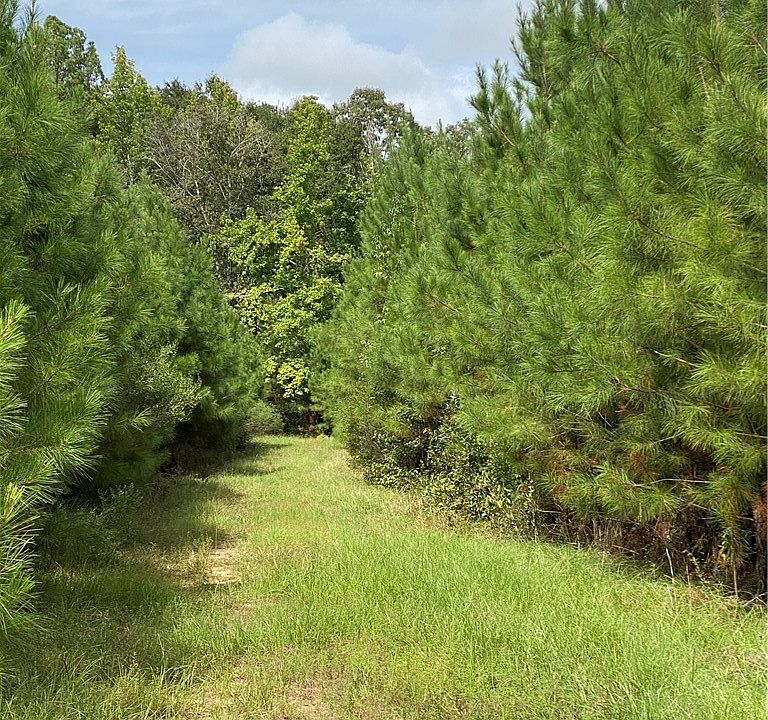 1st image of 0 State Highway 69