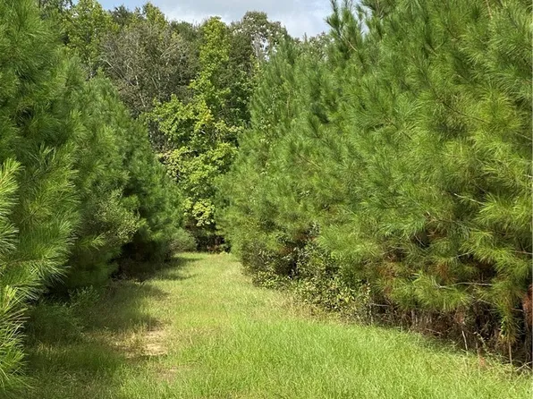 0 State Highway 69, Gallion, AL 36742