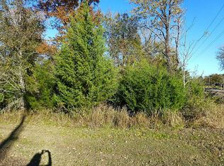 291 N Forest Cove Loop, Coldspring, TX 77331