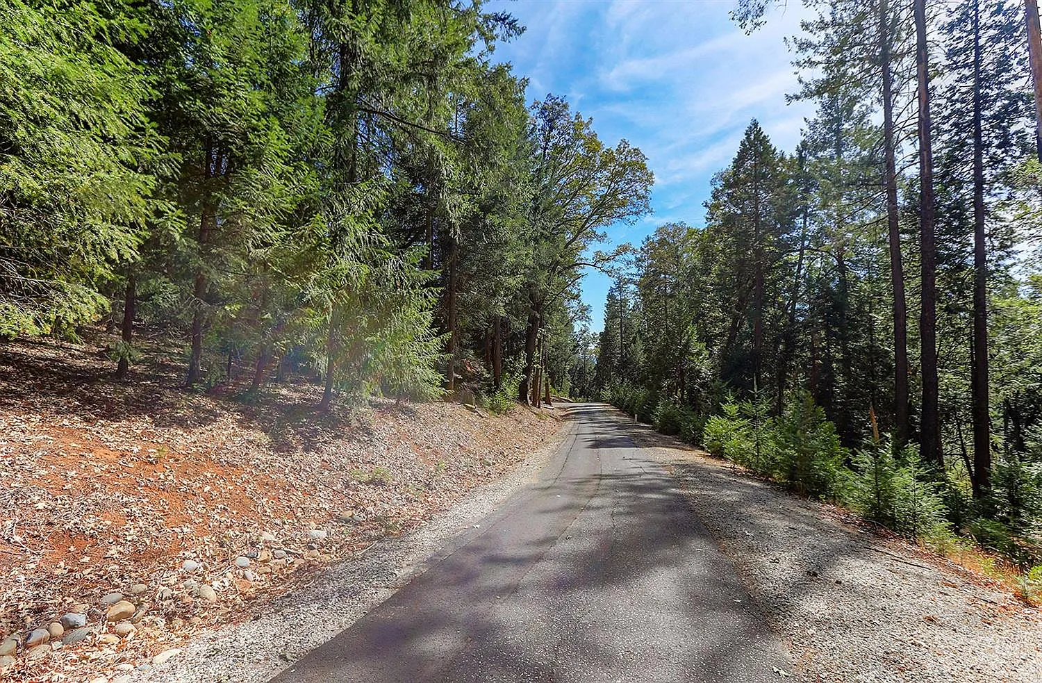 11511 Winter Moon Way photo 1