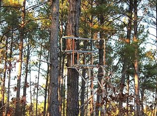 Og Reynolds Rd, Ellerbe, NC 28338