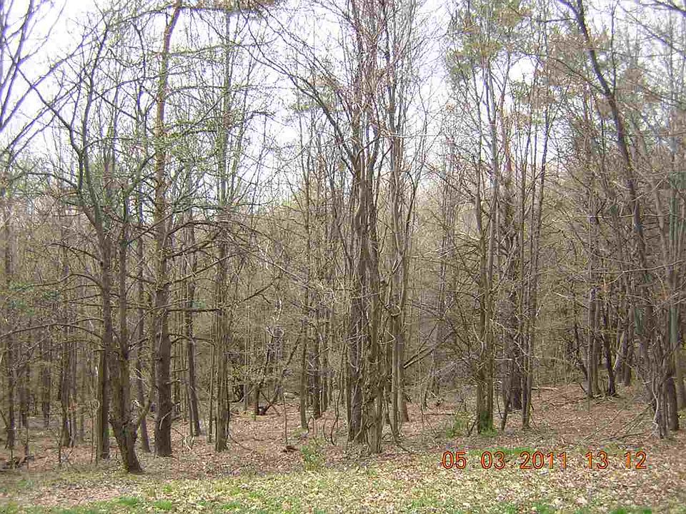 2nd image of 389 Elk Point Rd