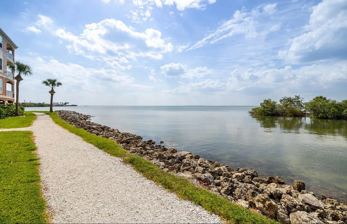 5000 Culbreath Key Way — Photo 4