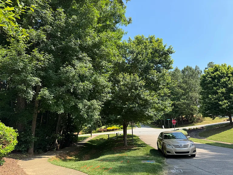 116 Jamison Woods Ln — Photo 20