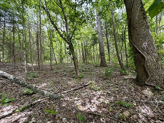 5th image of 1 Fattybread Branch Rd