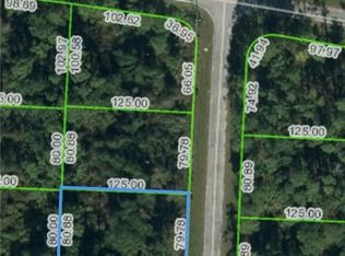 4431 Gerona Ave, Sebring, FL 33872