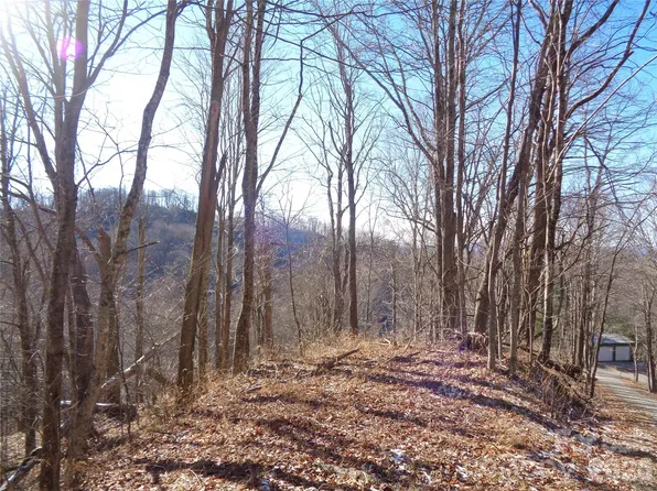 0 Listening Cv #42, Clyde, NC 28721