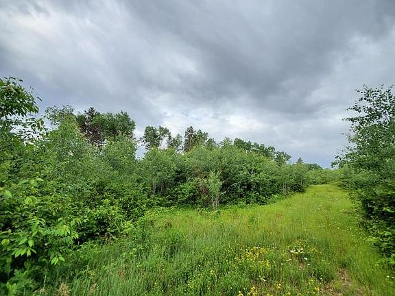 4th image of 4355 Lakewood Rd