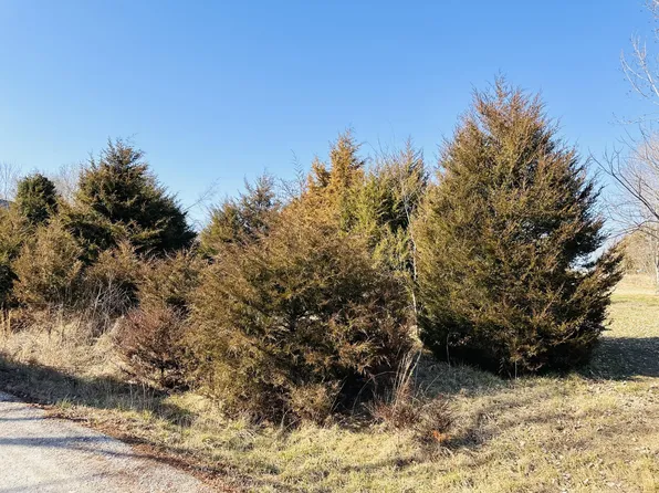 Lot 17&18 Molly Lane, Rockaway Beach, MO 65740