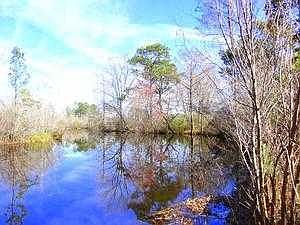 6530 Dahlia Dr, Panama City, FL 32404