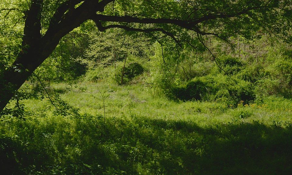 Ben Hill Rd, Rogersville, TN 37857 MLS 606713 Zillow