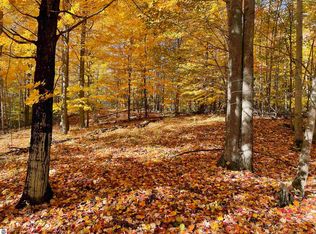 N A W Heath Rd, Rose City, MI 48654