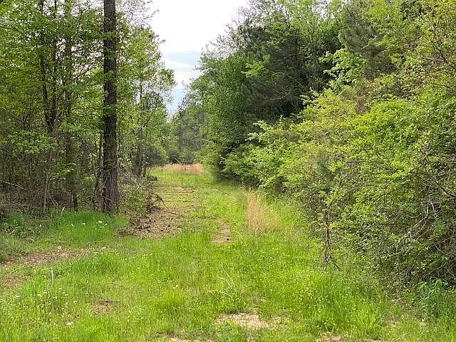 2nd image of 2 County Road 351