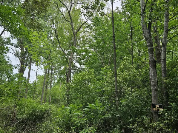 LOT 651 Sarsi Cv, Evart, MI 49631