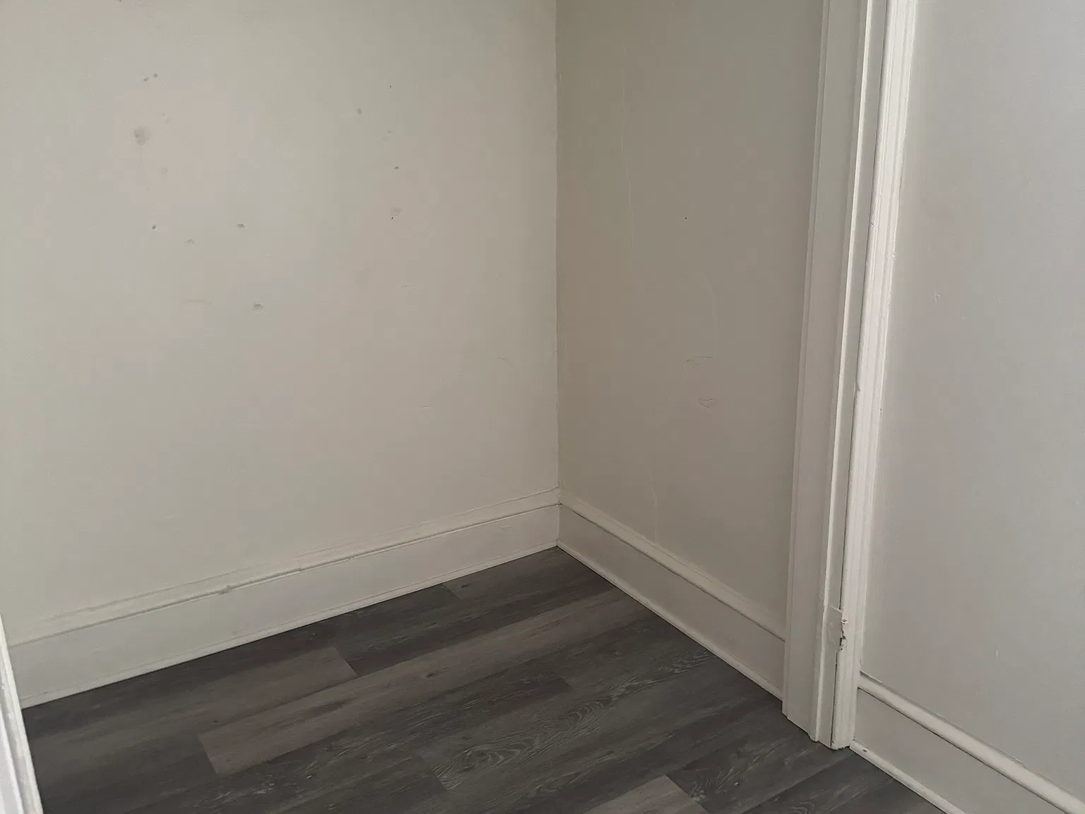 1 bed, 800 sqft, $900 — Photo 2