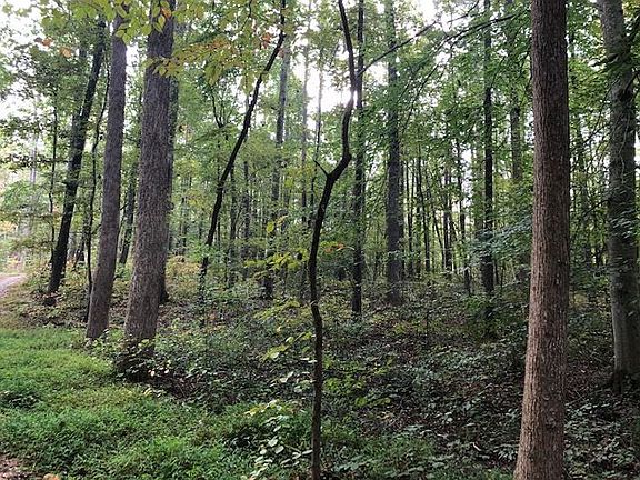 3rd image of LOT 6 Preservation Forest Ln Lot 6