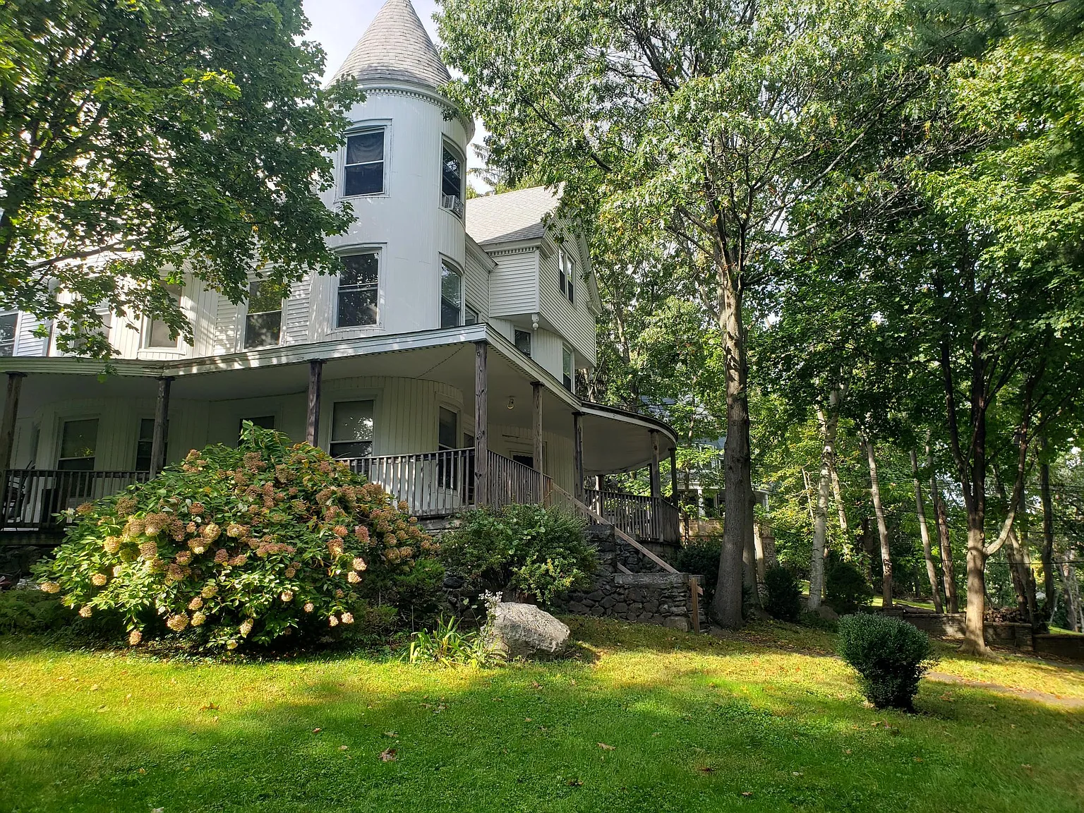 1 bed, 800 sqft, $1,350 — Photo 1