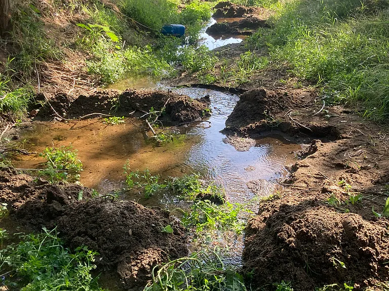 See 'Racoon River' just north of the house. Stand quietly to see the happy bunnies, mean squirrels (they eat fruit and all the pumpkins!), circling hawks, ravens of the valley during the day, and coyotes, owls, possums, raccoons, deer and bobcats at night