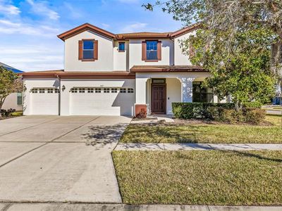 7119 Peregrina Loop, Wesley Chapel, FL, 33545