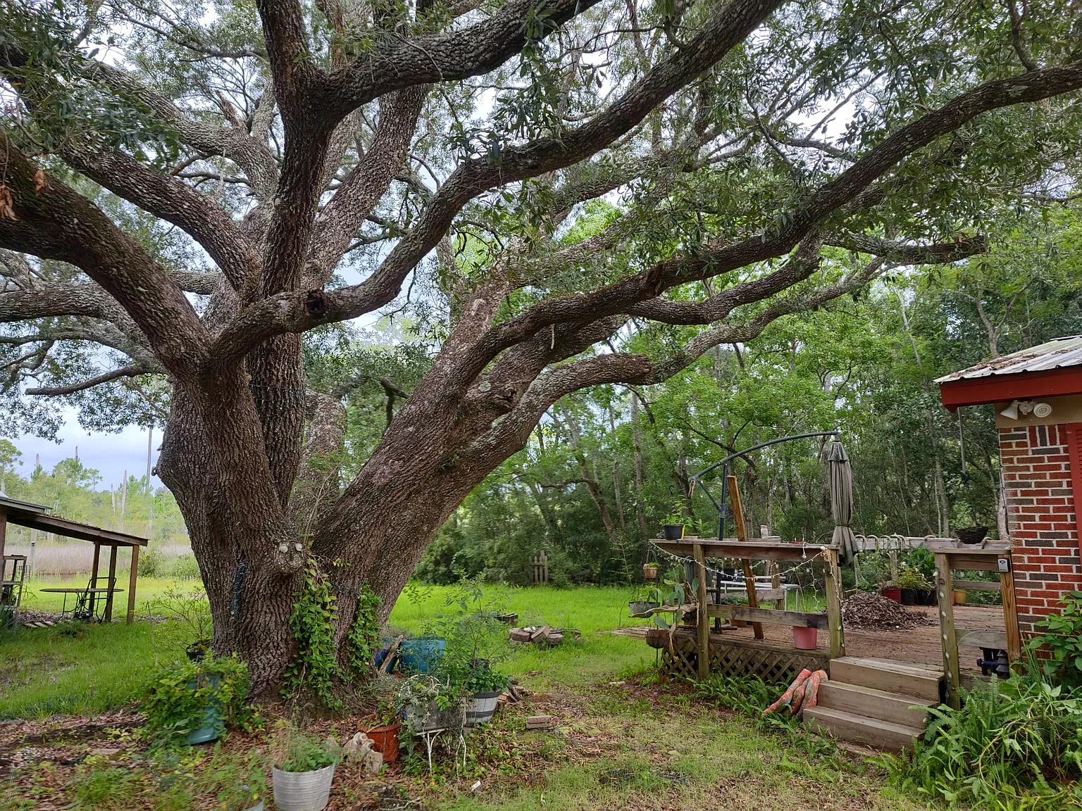 5816 Shady Bayou Ln — Photo 4