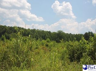 Sweeney Rd, Chesterfield, SC 29709