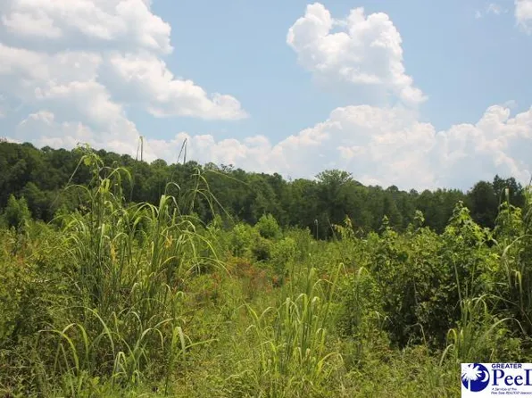 Sweeney Rd, Chesterfield, SC 29709