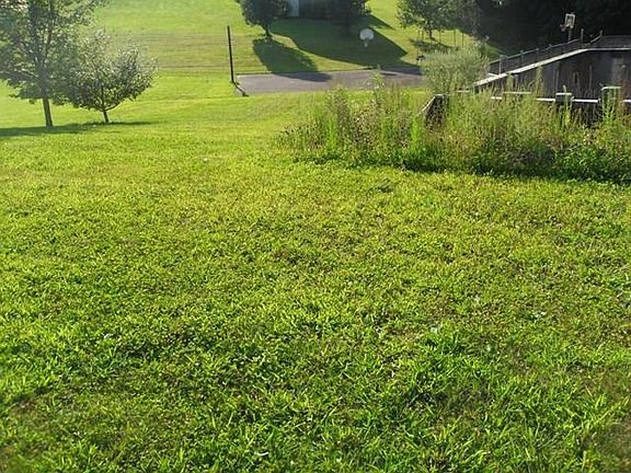 4th image of 51 Nancy Jane Dr