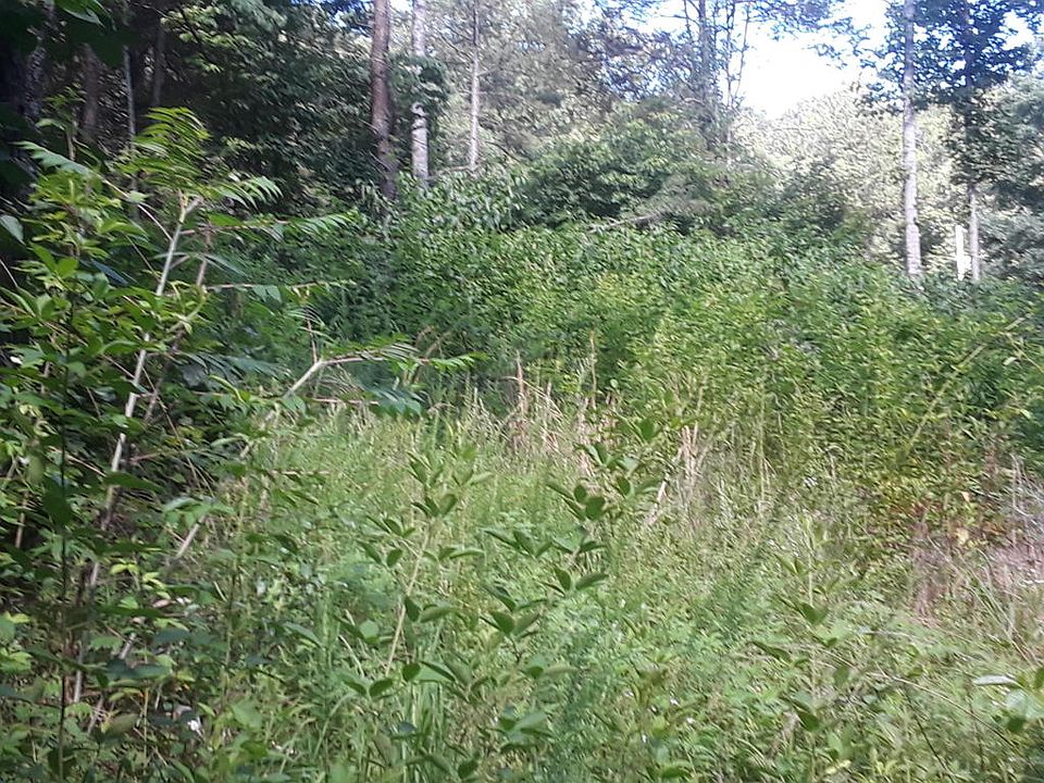 2nd image of Edwards Hollow Rd
