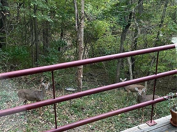 5th image of 8191 Rhinehart Rd