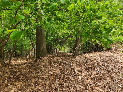 Pretty Lake Dr, Mecosta, MI, 49332