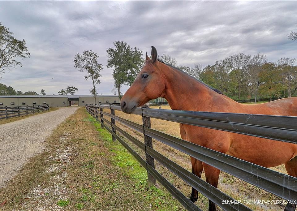 1st image of 2560 Delta Downs Dr