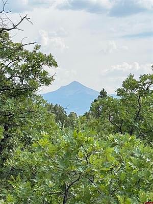 5th image of W Beaver Pines Loop Lot 10