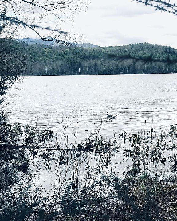 2nd image of 103 Lower Pond Way