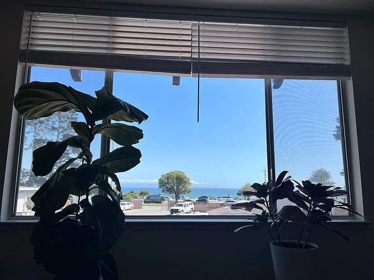 236 Santa Cruz Ave #E — Photo 7