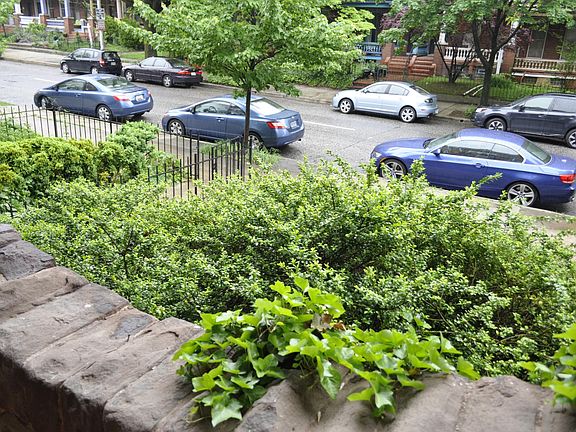 view of N Calvert St from front porch --free parking