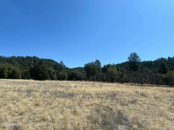 230 E Cline Crossing #C1-B, Young, AZ 85554