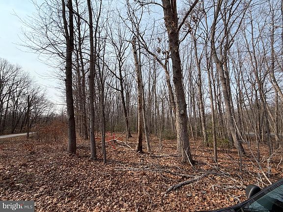 2nd image of Marsh Rd