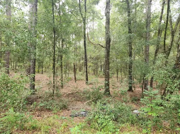 LOT 7 SW 159TH AVENUE LOT 7, OCALA, FL 34481