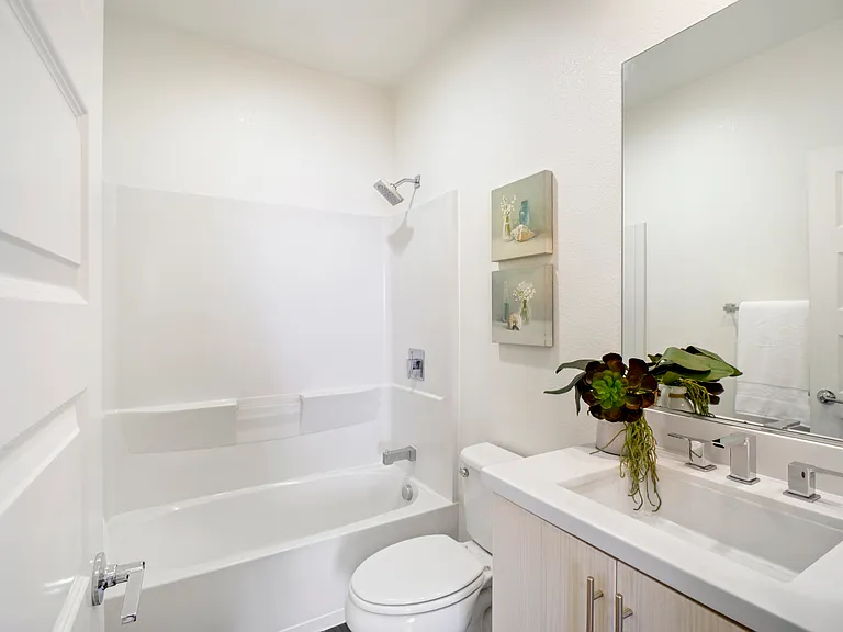 Guest bathroom