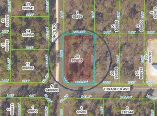 Thrasher Ave, Brooksville, FL 34614