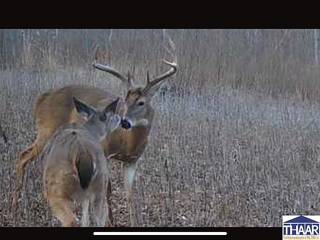 1st image of 11961 Catt Rd