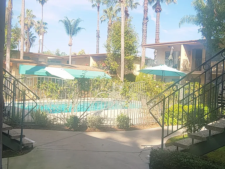 Palm Court Apartments — Photo 4