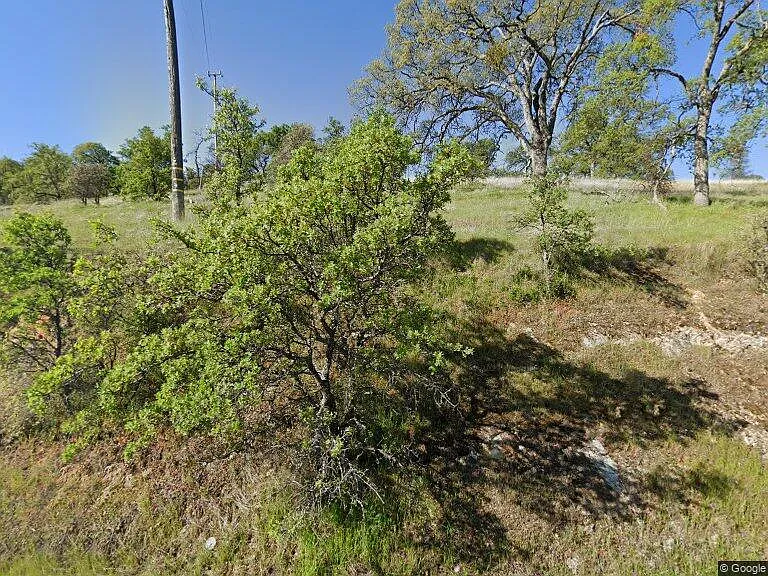 10089 Banderilla Dr photo 1